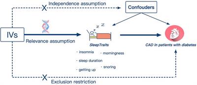 Causal association between sleep traits and the risk of coronary artery disease in patients with diabetes